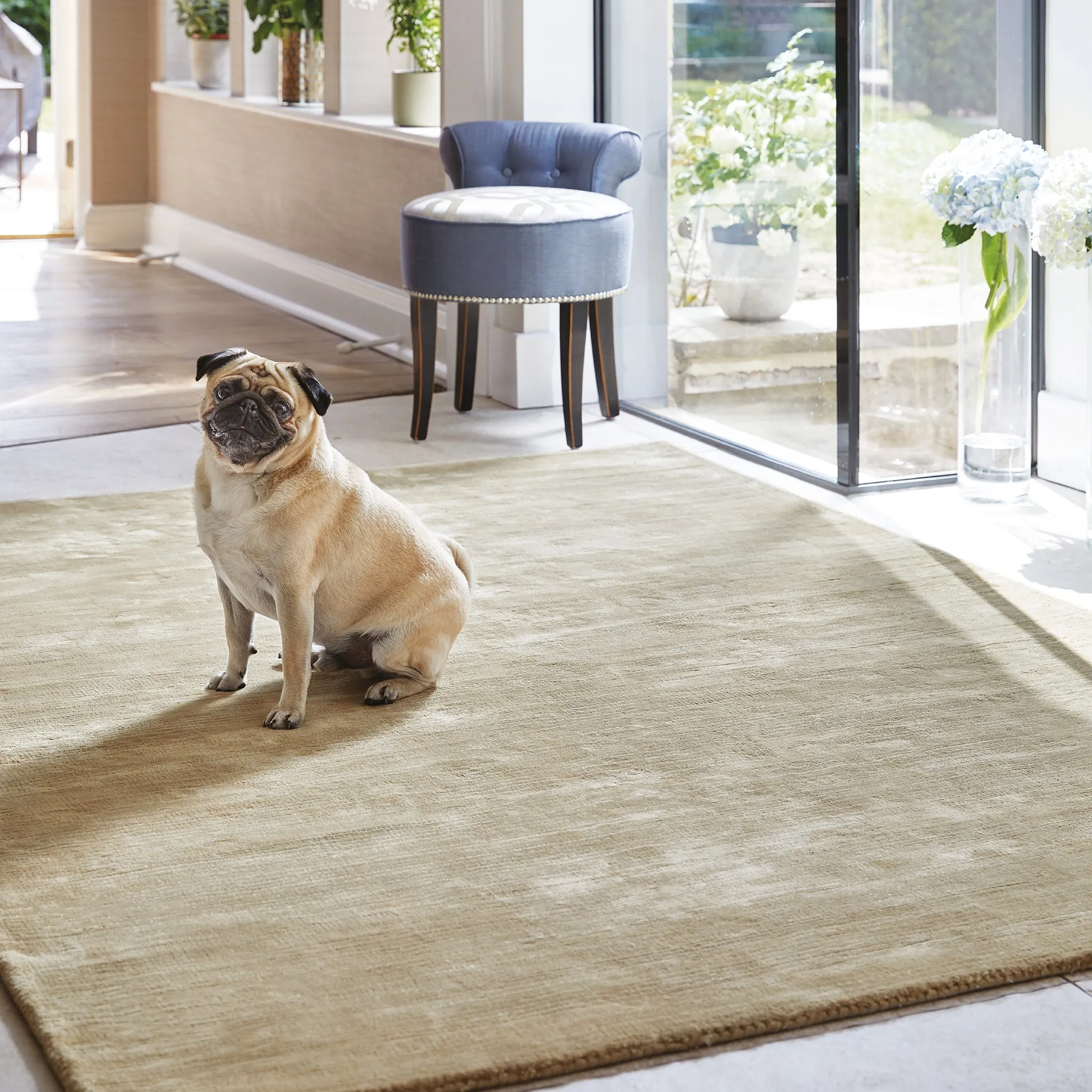Orient Rug Oyster